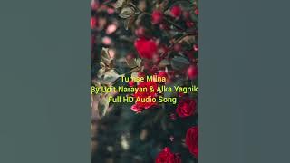 Tumse Milna By Udit Narayan & Alka Yagnik Full HD Audio Song