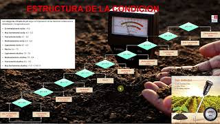 20B GOOGLE EARTH ENGINE - TELEDETECCION FORESTAL