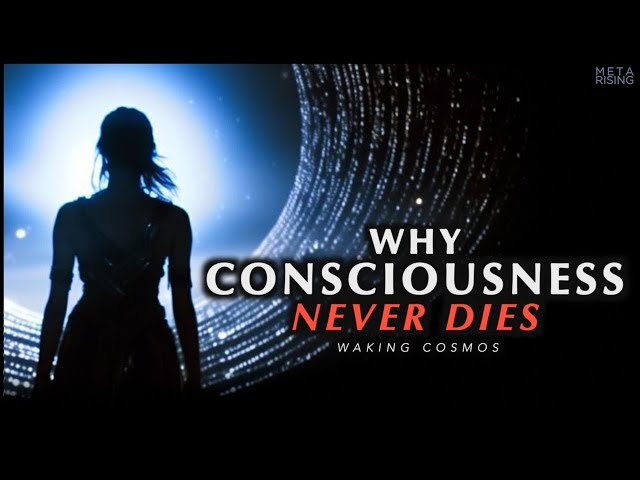 Why Consciousness is Immortal | The Philosophical Proof of Life After Death class=