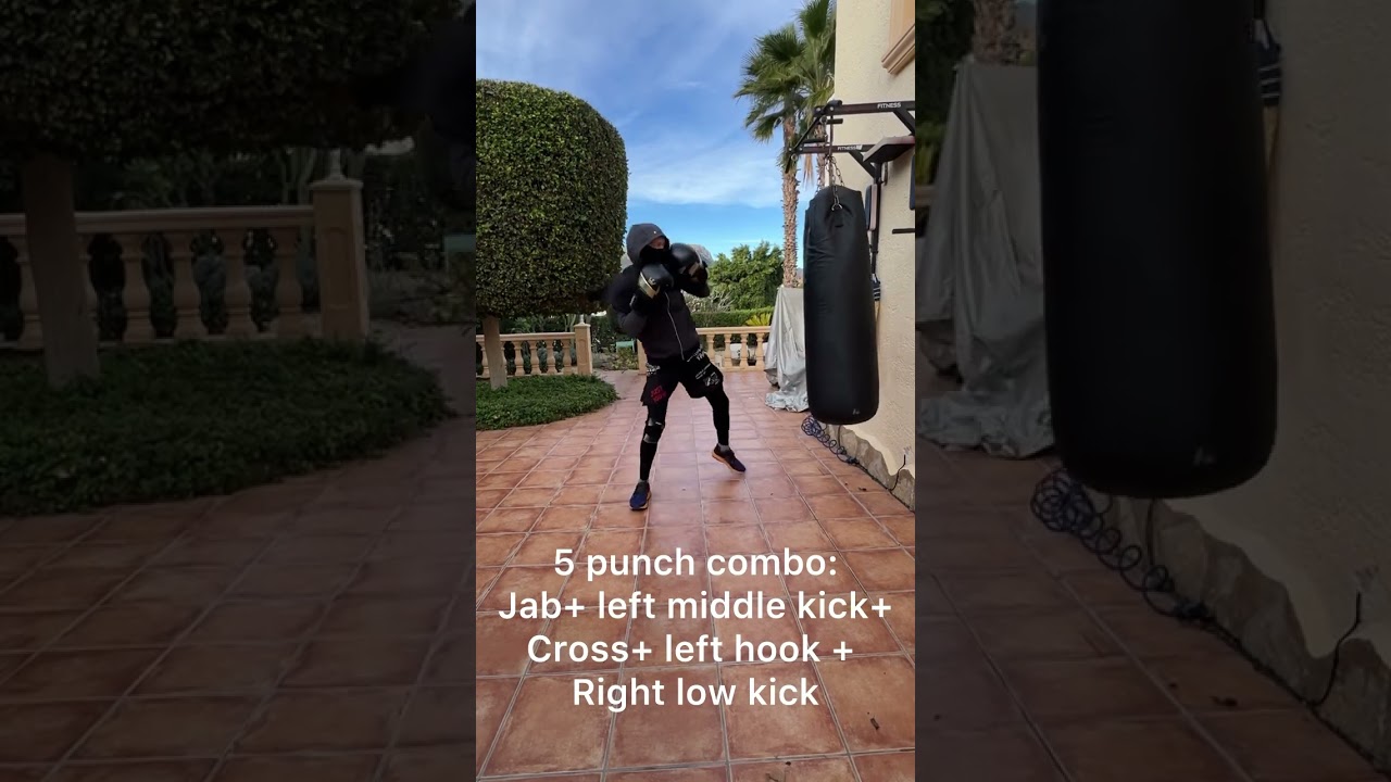 5 punch 🤛🏻 combo