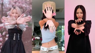 JISOO &#39;꽃 FLOWER Dance Tik Tok Challenge Compilation 2023 - #jisoo #jisooflower