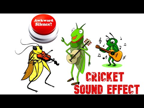 Awkward Silence Cricket Sound