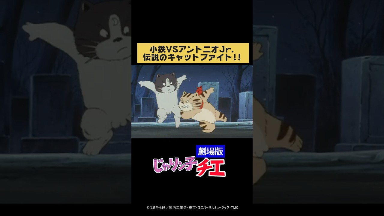 伝説の猫対決！ 小鉄VSアントニオJr.『じゃりン子チエ 劇場版』より 