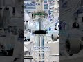 YWT-60 Glass Thin-Film Rectifying Column