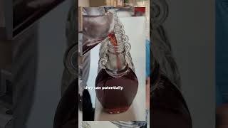 Is it really poisonous?  Making chokecherry pancake syrup?