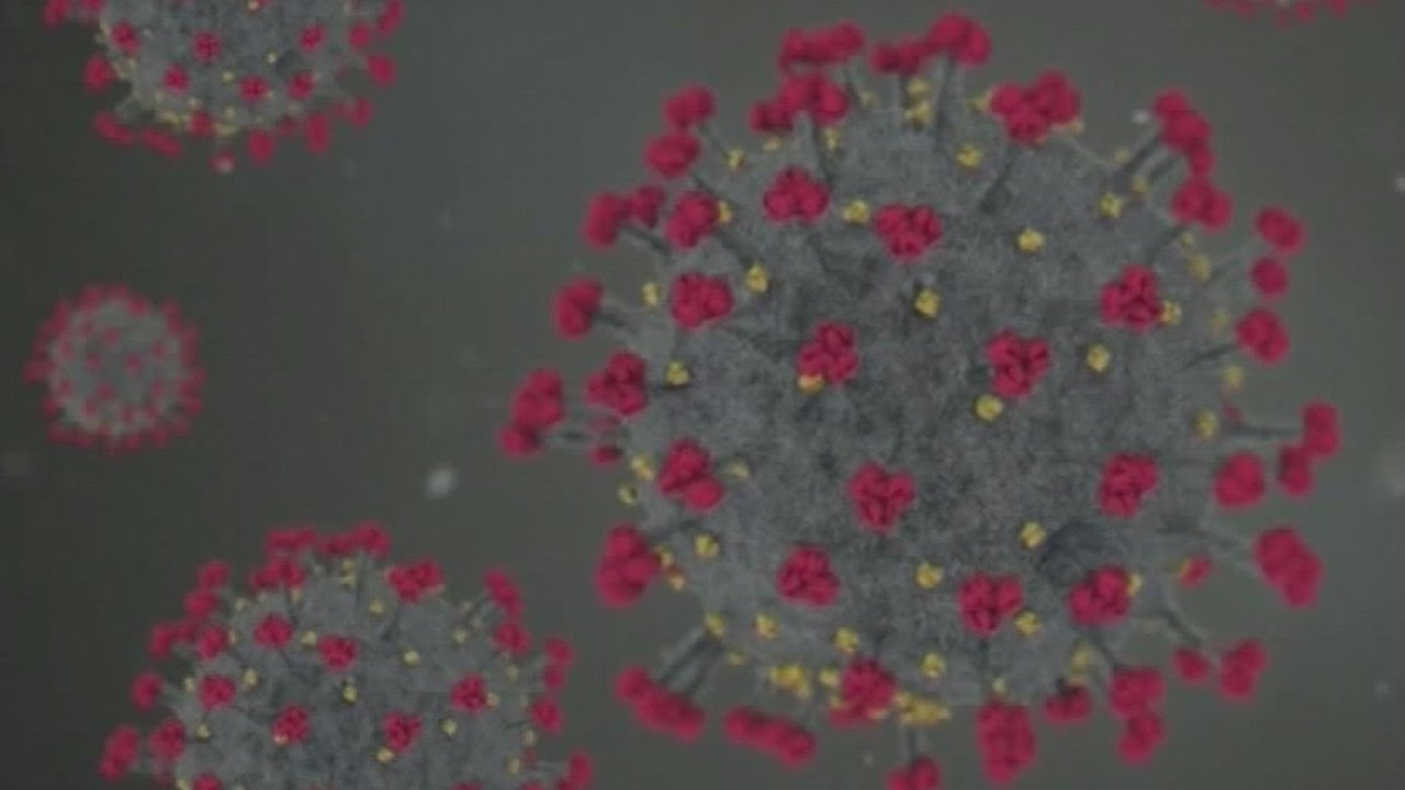 First U.S. case of omicron COVID-19 variant detected in California ...