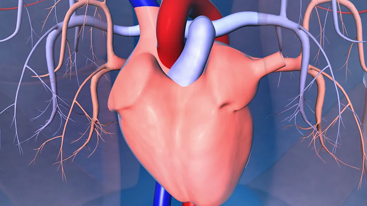 Catheter Ablation: What is it and how does it help an irregular heart beat? - DayDayNews