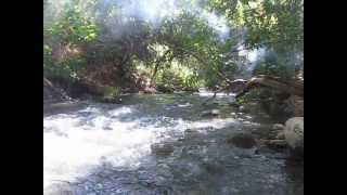 Banias River (Hermon Stream)