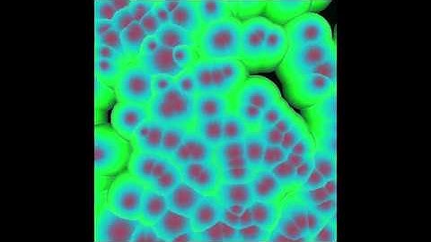 Cellular Noise (2D Version)