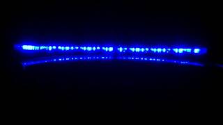 Upstate coroner identifies 23-year-old man killed in car crash