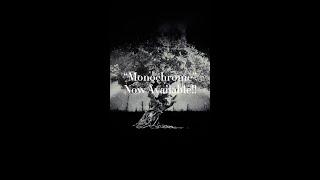 BABYMETAL - Monochrome #Shorts
