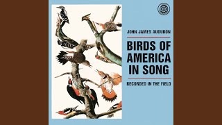 Familiar Birds Of Gardens And Shade Trees Pt. 2