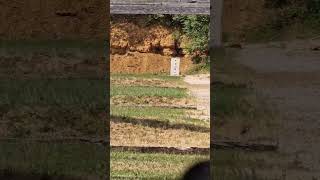 Firebird targets test ⚠️ #explosion #shooting #acog