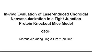 CB004 In-vivo Evaluation of Laser-Induced CNV in a Tight Junction Protein Knockout Mice Model