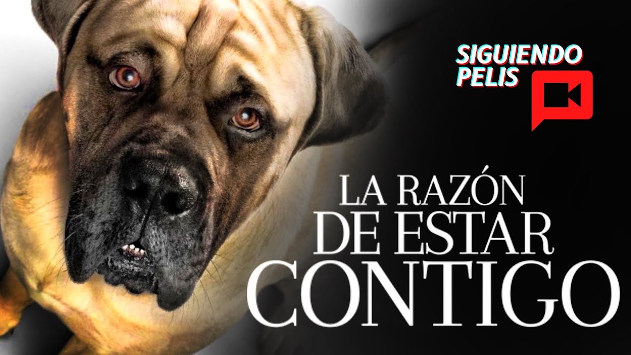 LA RAZON DE ESTAR CONTIGO | PARTE 1 Y 2 | EN 20 MINUTOS - YouTube