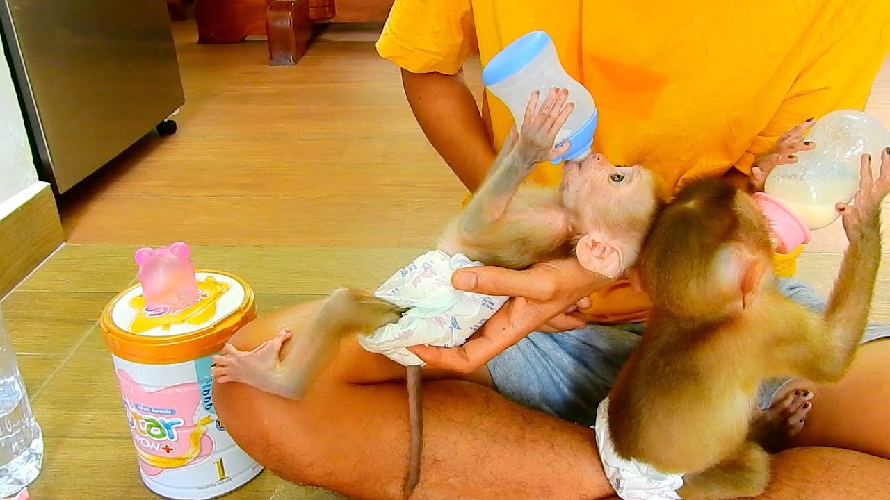 JULIE Very Comfort Of Dad Pampering Like A Newborn All Time.