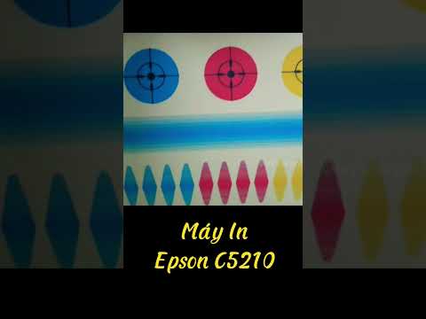 Video Review Máy In Epson C5210 #shorts - youtube