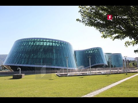 ბრიფინგი შ.ს.ს-ში #LIVE