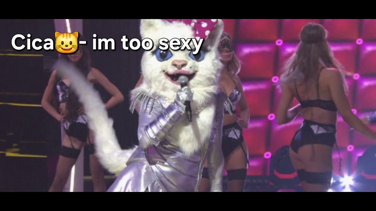 Cica😺- im too sexy / Alarcos Enekes s2 🇭🇺