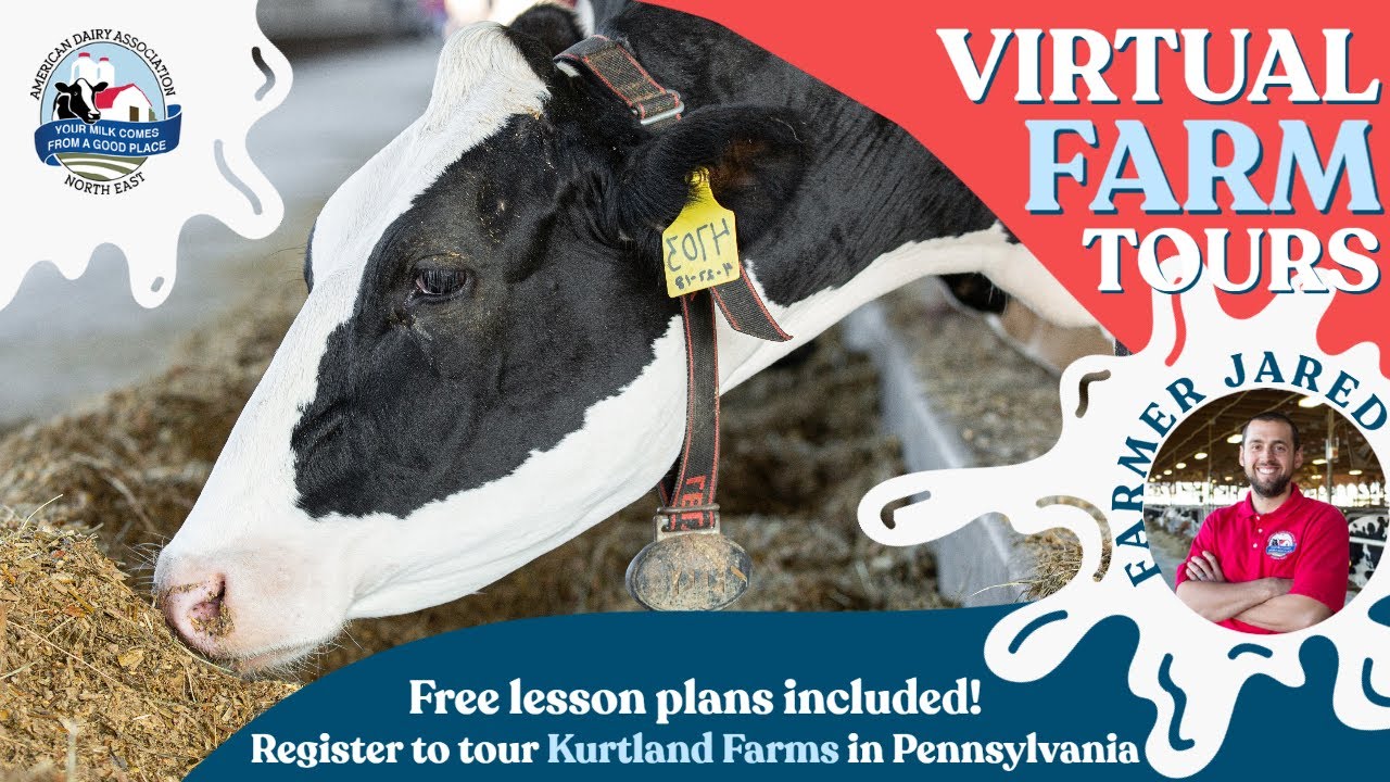 Dairy Deep Dive Virtual Tour of Kurtland Farms YouTube