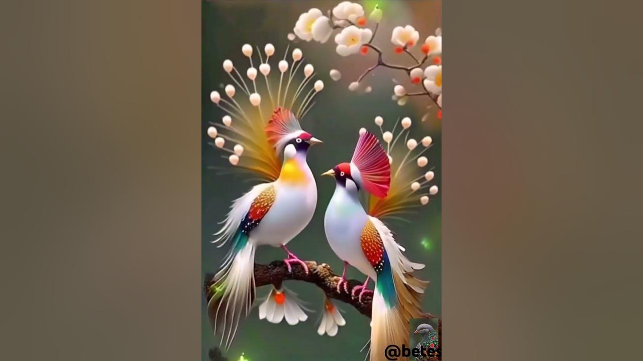 beautiful Birds Sounds - Birds Singing without Music pete #ai #beautifulanimals #oiseau #nature