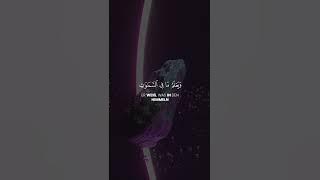 Surah Ali‘Imran | Vers 29 || Abdelaziz Sheim #quran #islam #shorts