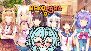 7K SUBS SOON? | THE MOST IMPORTANT THING IN THE WORLD: CAT GIRL MAIDS