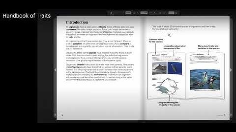 Introduction to Handbook of Traits