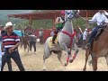 CARRERAS DE CABALLOS**FINAL FUTURITY** LA LUMBRE**