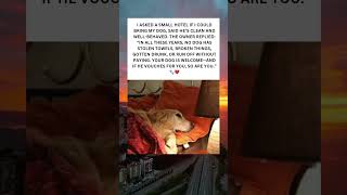 A Dog’s Vouch Is Enough 🐾❤️