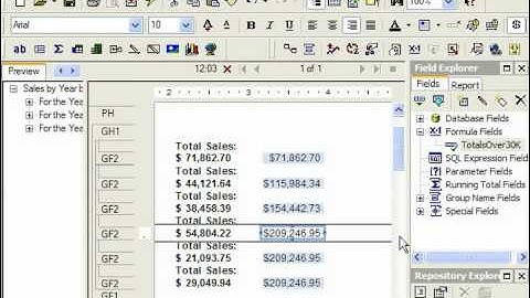 Crystal Reports Tutorial Using & Displaying Variables Business Objects Training Lesson 14.3