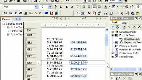 Crystal Reports Tutorial Using & Displaying Variables Business Objects Training Lesson 14.3