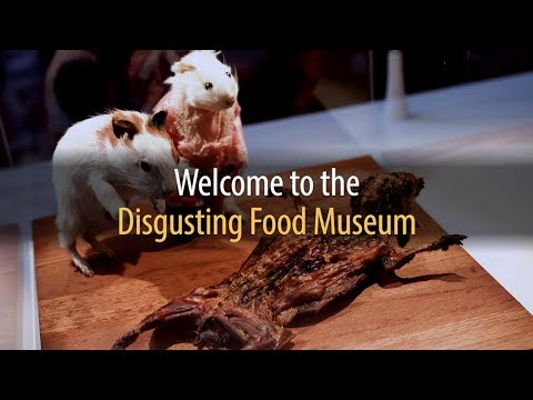 Video: Museum Under Grøn Glasur