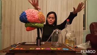 Cómo funciona el cerebro, (experimento) 0.1 /2021