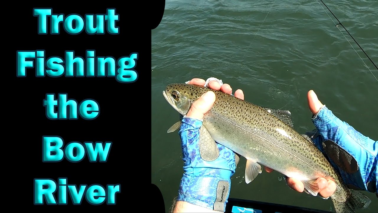 Floating the Bow River!
