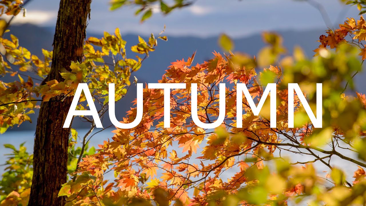 Vivaldi Autumn Best High Quality Music HD Video Antonio Vivaldi String Concerto No 3 in F major