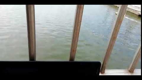 SL40 with side scan sonar + GNSS