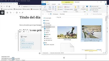 Como crear entradas en un blog en Wordpress con el editor Gutenberg