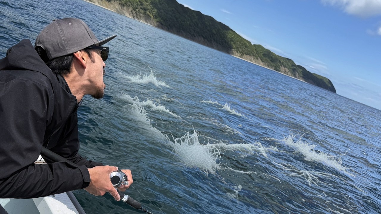Shocking] Huge catch of bluefin tuna in Osaka Bay. It has finally