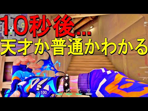 天才的デコイの使い方はこうだ！！