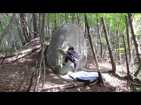 霊山【ダディビーンズSD】初段