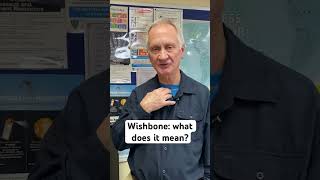 Celebrity Wishbone: what does it mean? #english #learnenglish #teacher #wishbone #thanksgiving Net Worth