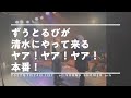 「ずうとるびが清水にやって来る ヤア!ヤア!ヤア!」ダイジェスト映像!