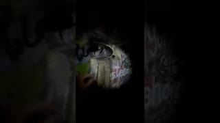 Abandoned Tunnel Creeper 21276 Pt4