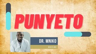 Punyeto Imani Maadili Afya Na Sayansi  Madhara Na Matibabu