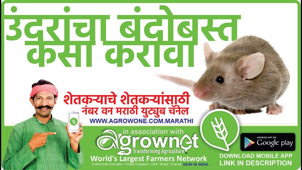 Chiroyli qizlar chiroyli yigitlarni sikishga ruxsat berishadi