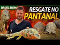 RESGATANDO OS ANIMAIS SOBREVIVENTES DO INCÊNDIO NO PANTANAL! | RICHARD RASMUSSEN