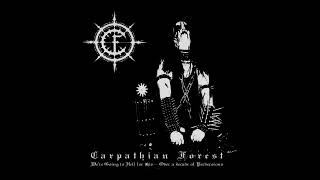 Watch Carpathian Forest The Angel And The Sodomizer video