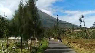 Story wa !!keindahan alam kota temanggung!!ngopi pagi di kledung temanggung