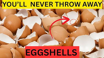14 SURPRISING WAYS TO REUSE EGGSHELLS